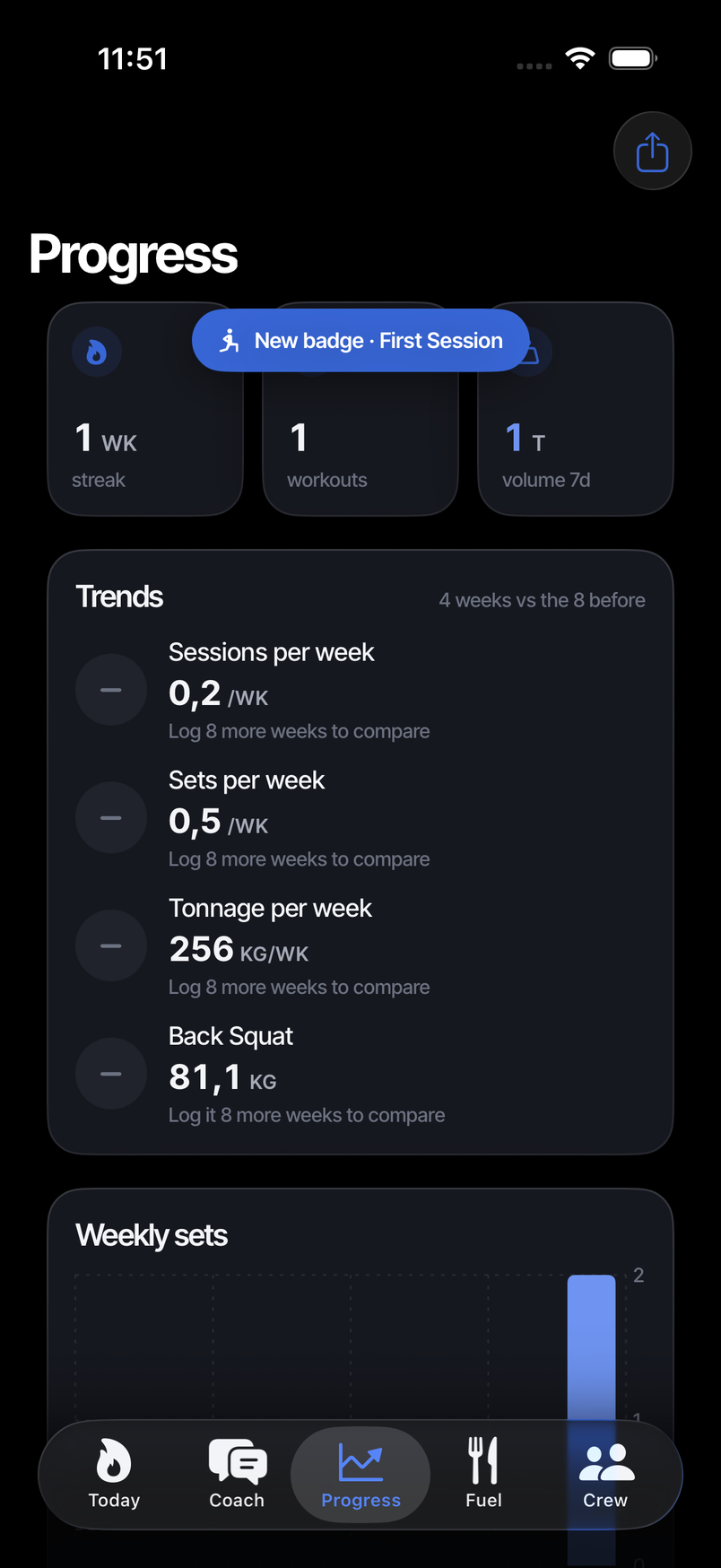 Progress: weekly sets chart and back squat e1RM trend